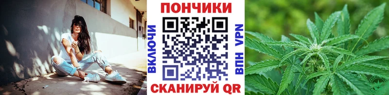 наркотики  Пятигорск  Бошки марихуана план 