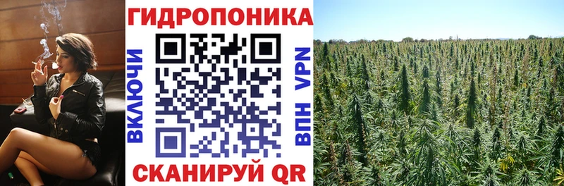 Бошки Шишки OG Kush Пятигорск